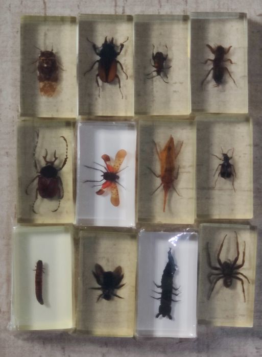 DeAgostini-insecte în rășină