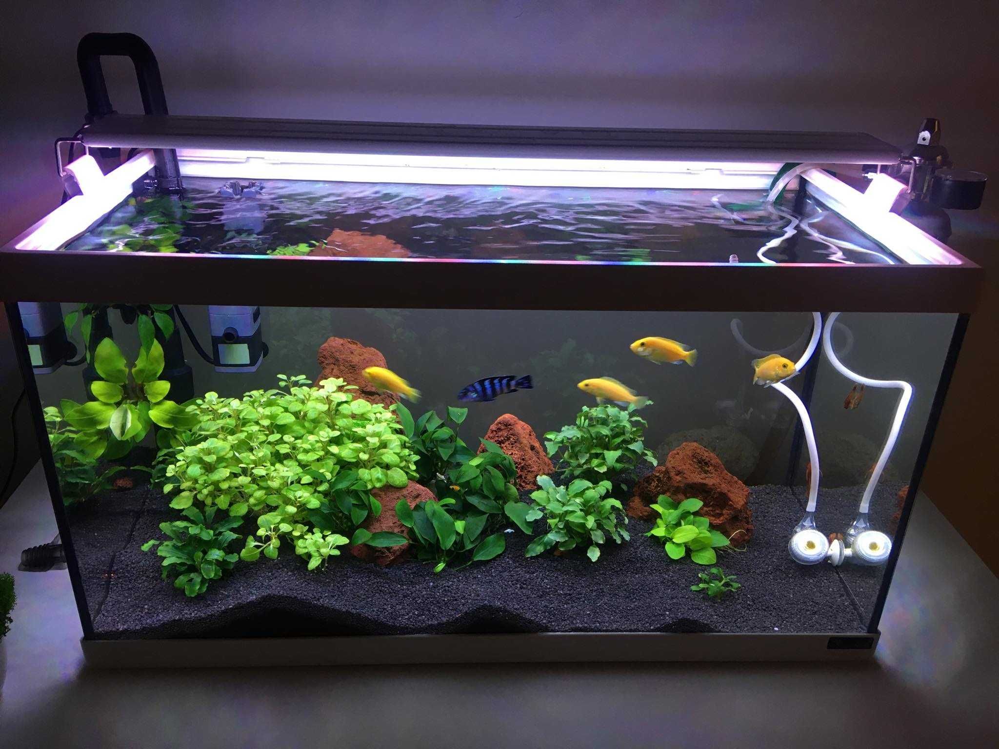 acvariu aquatlantis cu filtru si lampa led