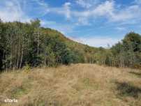 Teren 6,000mp Valea Draganului / Strada Principala