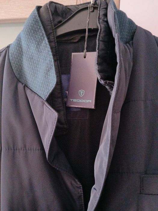 Яке елегантно Теодор