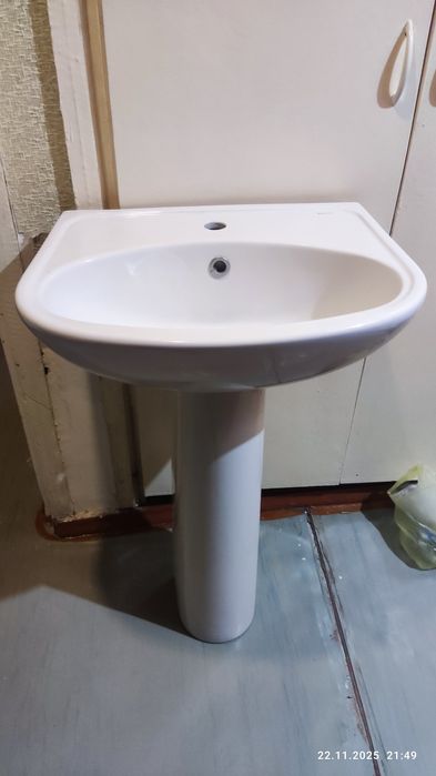 Раковина тюльпан