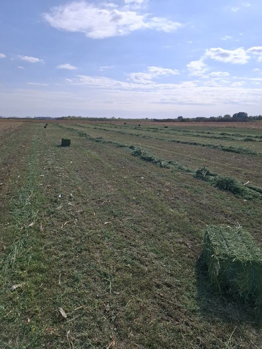 Vand baloti de lucerna