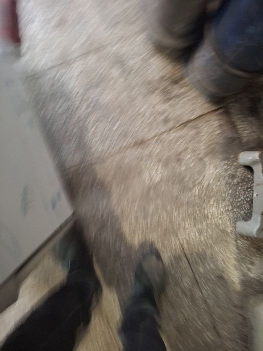 Фритюрник професионален FALCON