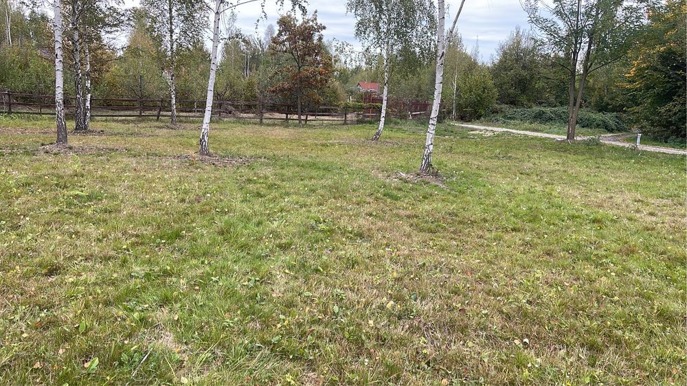 Teren intravilan Valea Avrigului