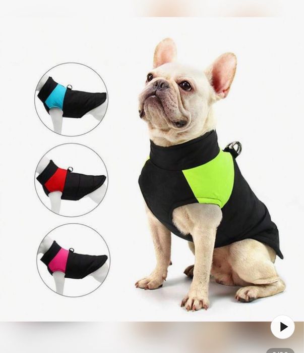 Кучешко яке с цип