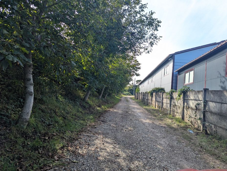 Vând teren intravilan Scheia, vecinătate E85, 10.6 ari, 10000Euro/ar