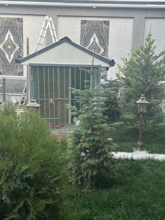 Голубятник продам