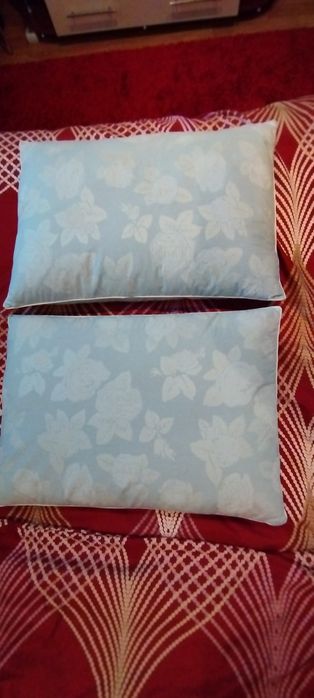 2 perne umplute cu puf de gâscă