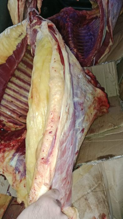 Жылқының еті жіліктеп