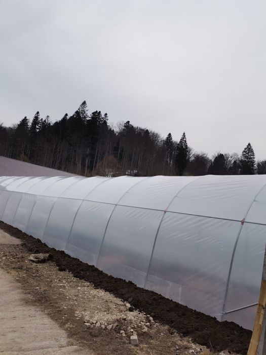 Solar/Sera gradina din teava galvanizata si folie perita E8