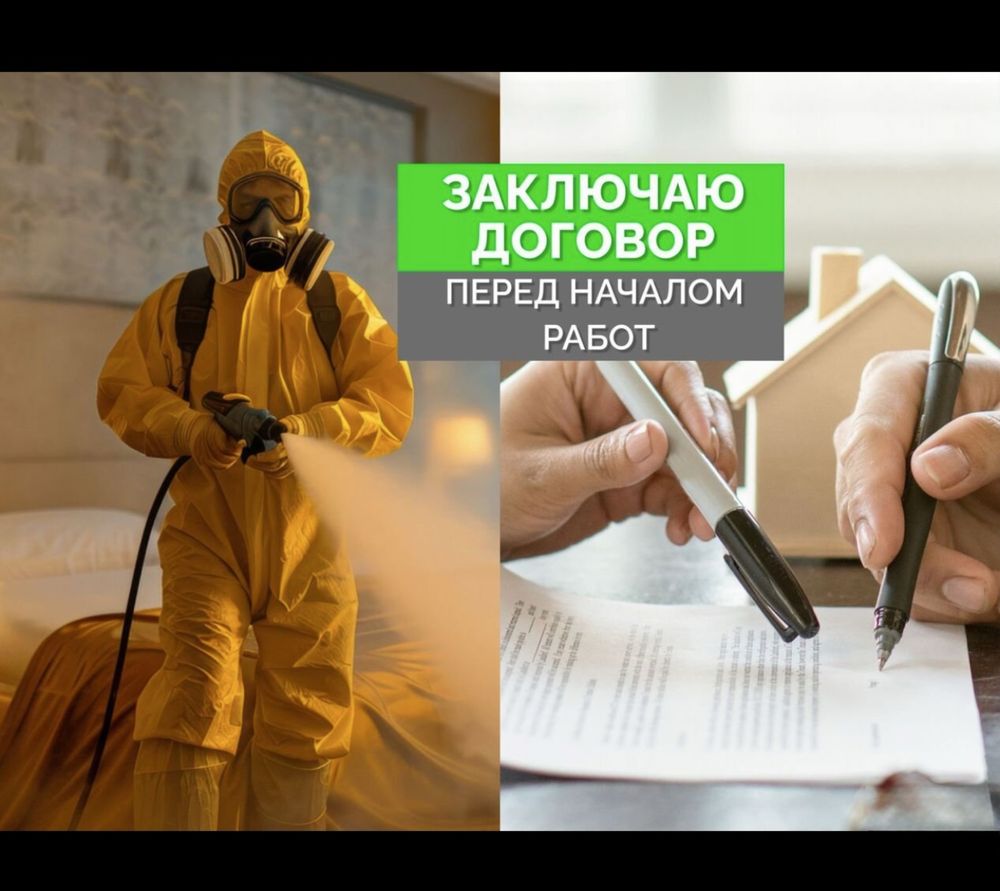 Дезинфекция в городе Шымкент Тараканов клопов жук короед мыши кандала