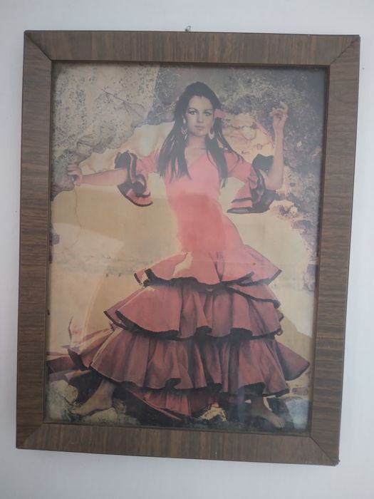 Monede vechi de colectie și tablouri de colectie