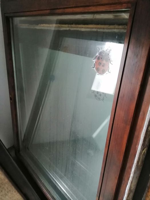 Vand termopane lemn masiv esenta tare oscilobatante produse in Austria