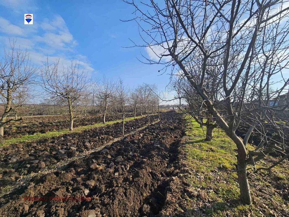 Продава се Парцел в с. Борисово, Област Русе - 1969 кв.м за 7 €/кв.м - Снимка #4