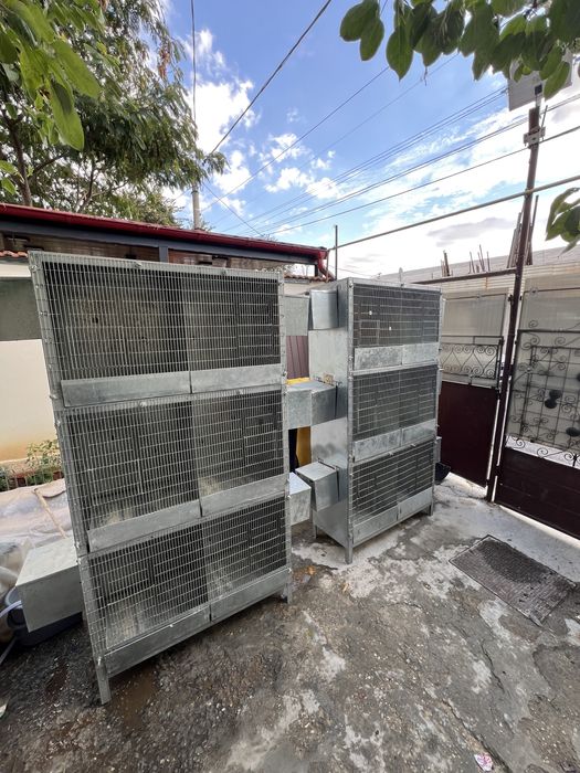 Vand colivi boxe reproducere papagali