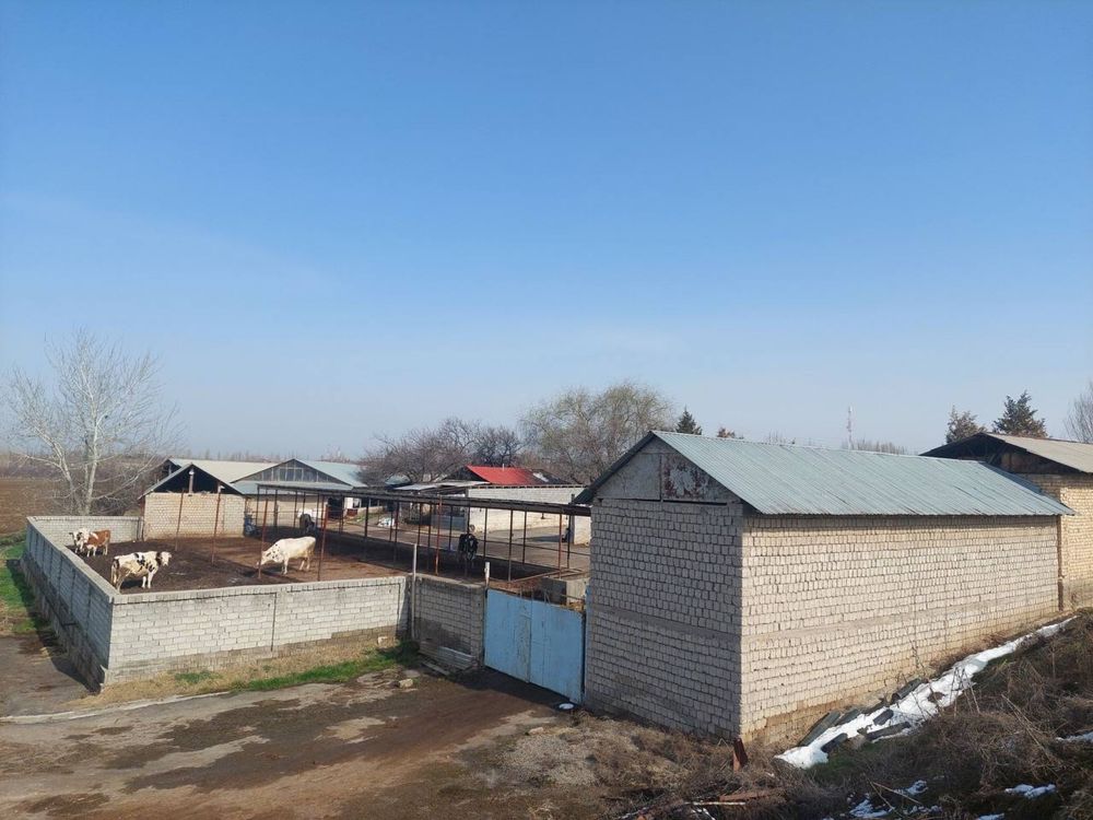 Продается ФЕРМА, 1 гектар , Паркентский район