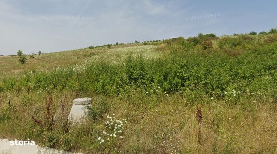 Teren arabil de vânzare — Parcele 1.000–50.000 MP Răscruci