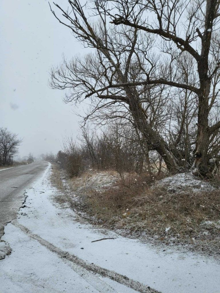 Продава се Земеделски имот в Самоков -  кв.м за 6 €/дка - Снимка #4