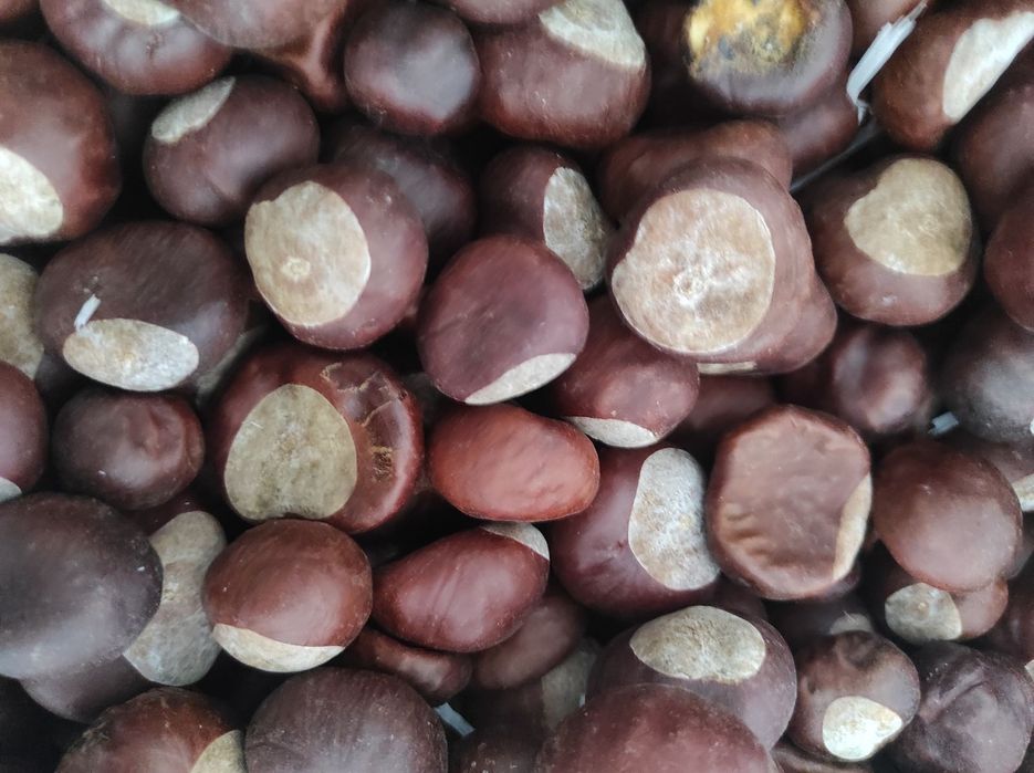 Синчец, корен валериана, стрък вратига,синя метличина,лавандулов цвят