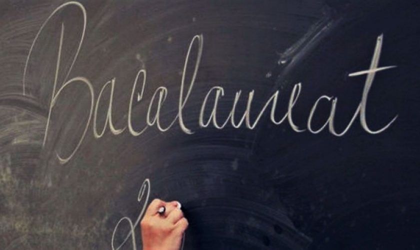 Meditatii: Limba Română si Logică, Bac garantat