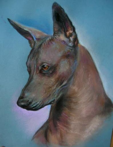 Ксолоицкунтли на вязку