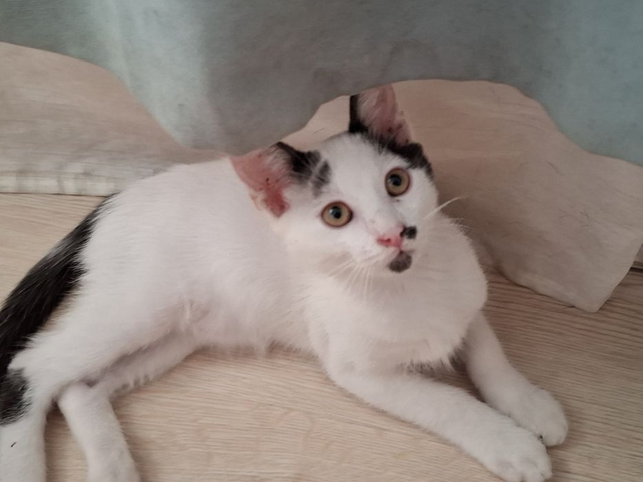 Мъри търси своето семейство