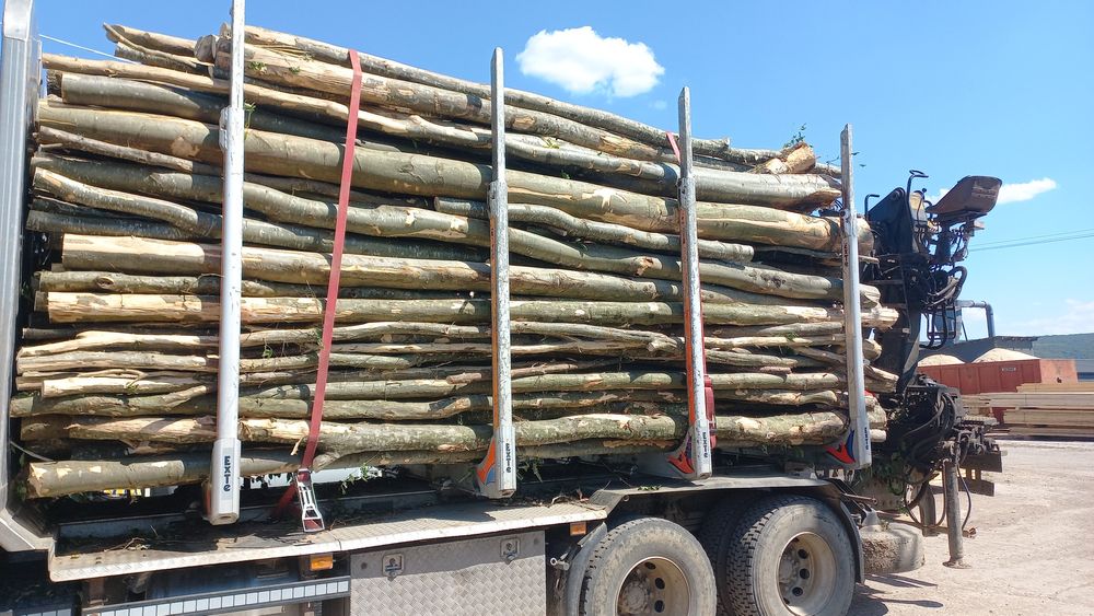 LEMN DE FOC de vanzare