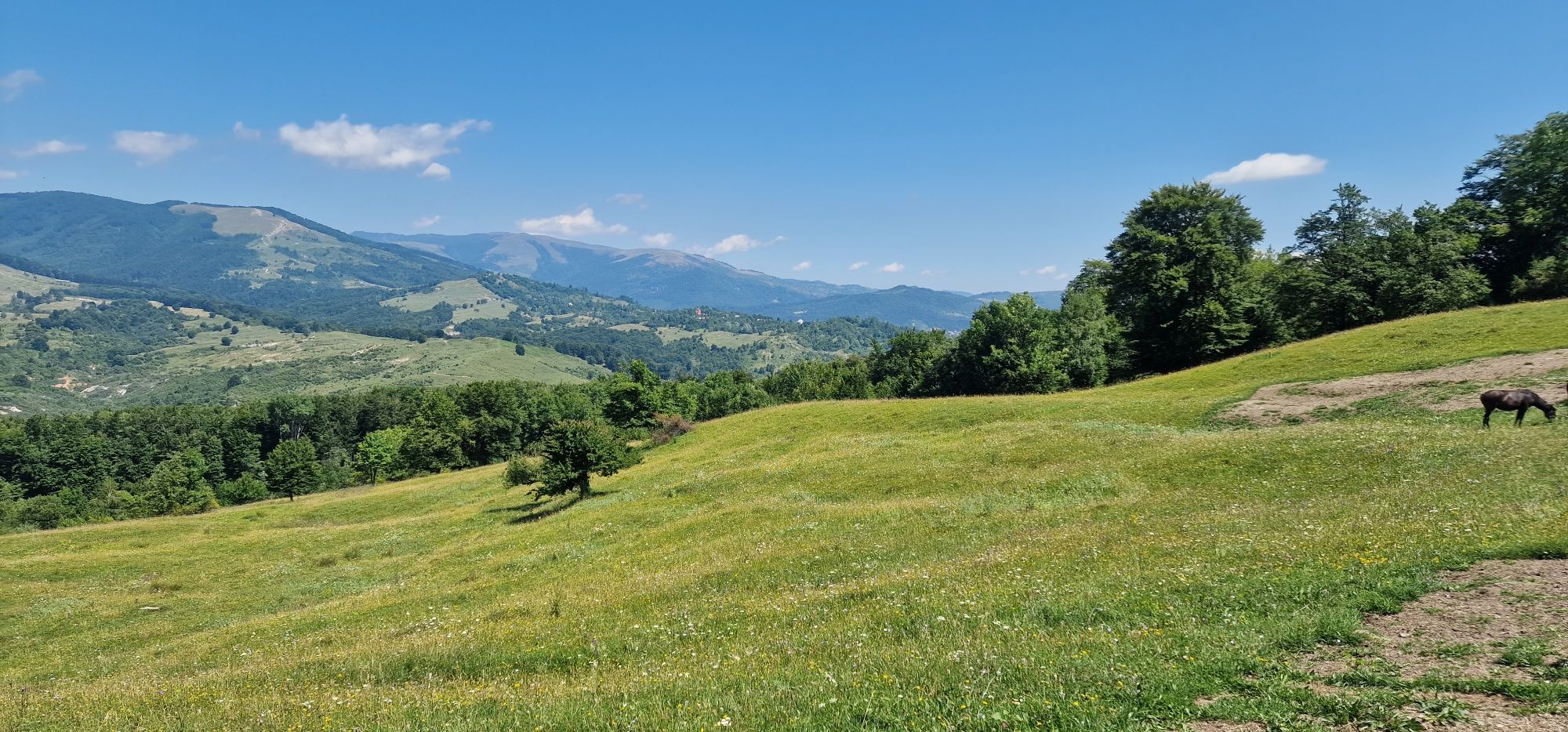 Teren Talea-Breaza lângă pădure