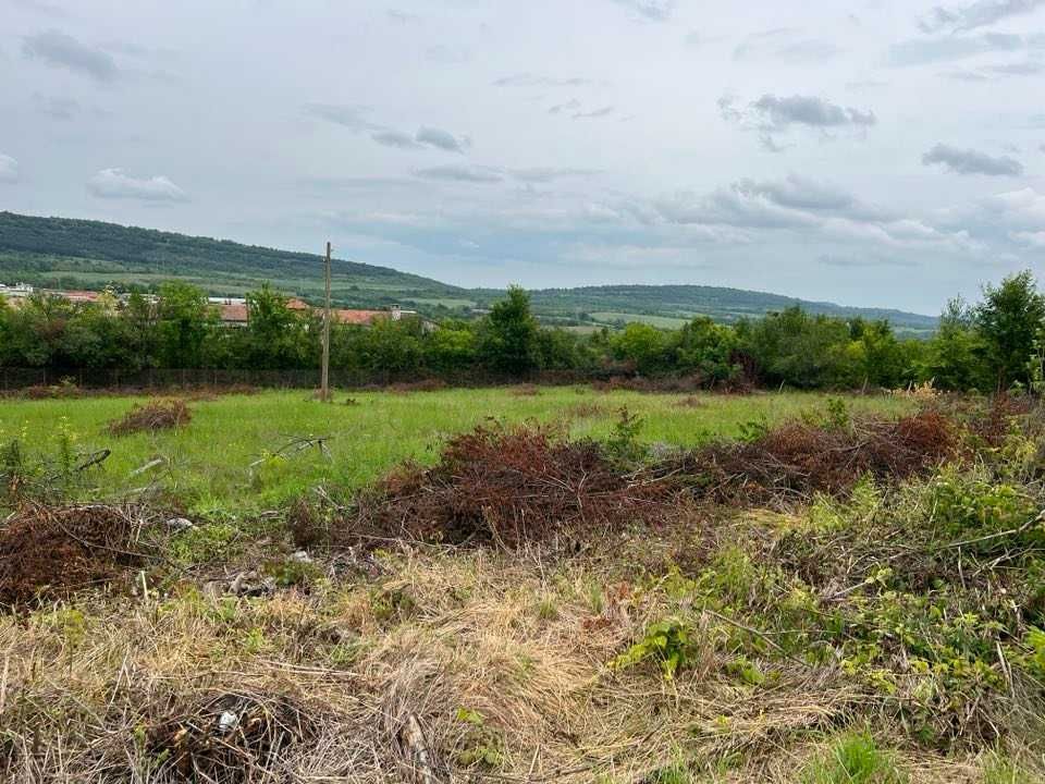 Продава се Парцел в с. Пчелище, Област Велико Търново - 4000 кв.м за 8 €/кв.м - Снимка #1