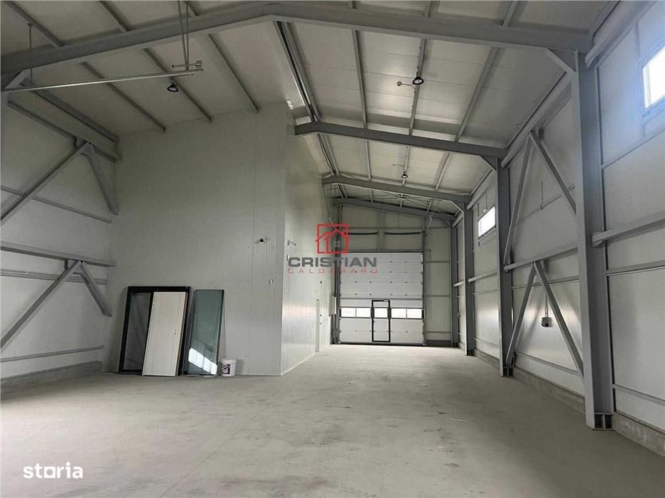 Vanzare depozithalaspatiu industrial Domnesti - Centura
