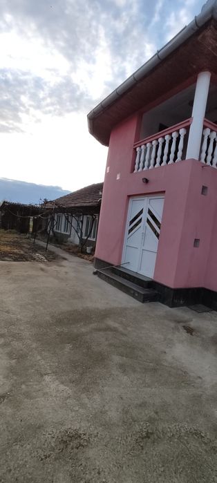 Vand casă în Tarnova Jud Arad 2.500 pătrați