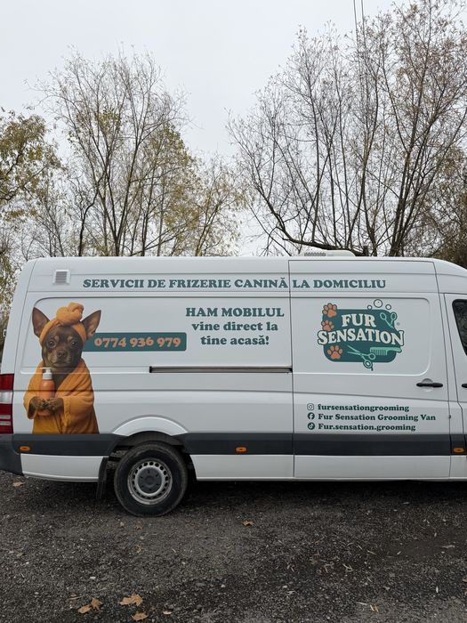 Frizerie canină si felină la domiciliu tau