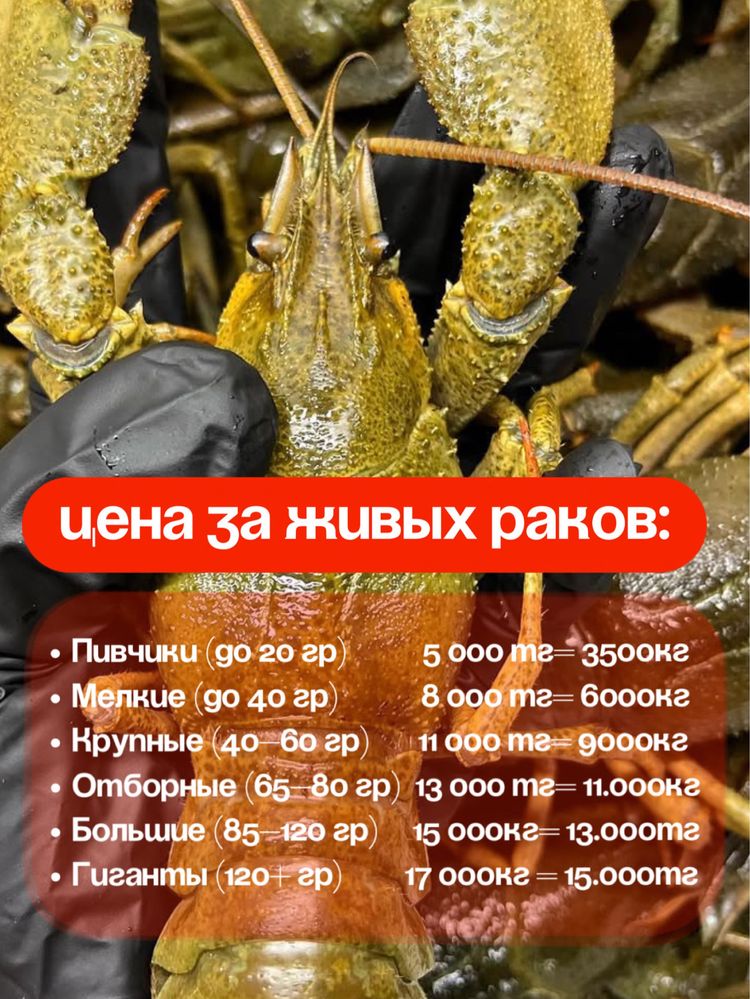 Цена на живых раков снижена
