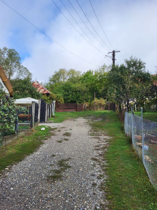 Vând teren 2900mp Păușești Măglași