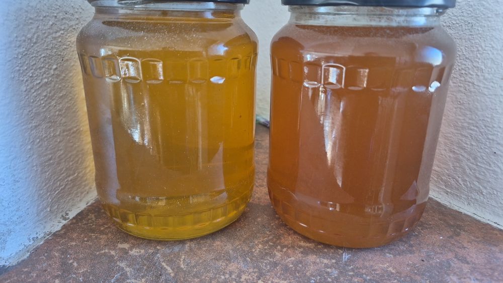 miere tei naturala 2024