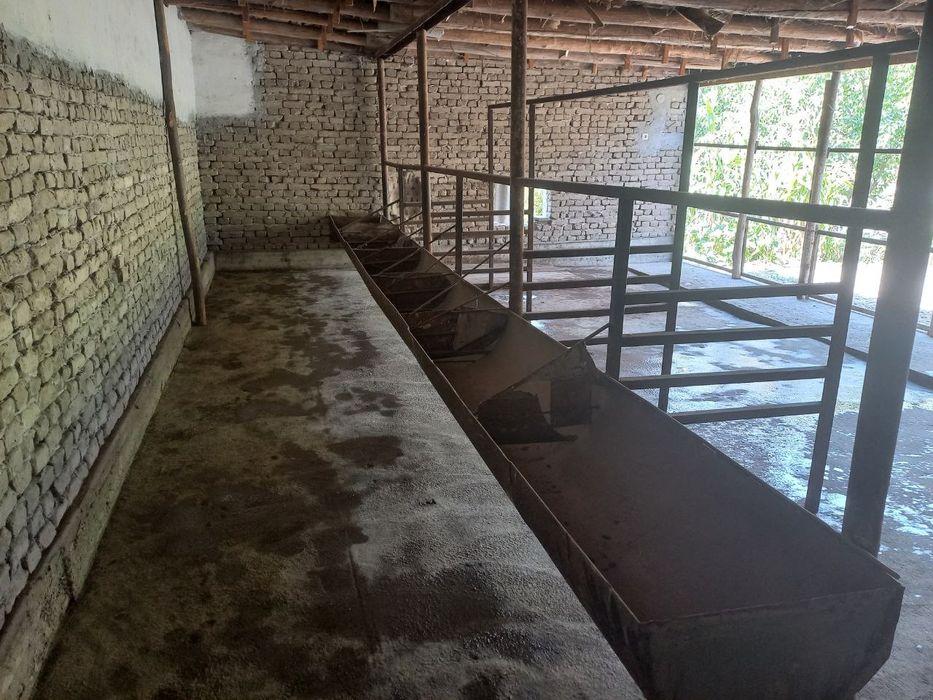 Киргули Табассум 5 Сотихлик Ер,Чек Атрофи уралган