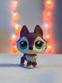 LPS Littlest Pet Shop Caine Husky RAR