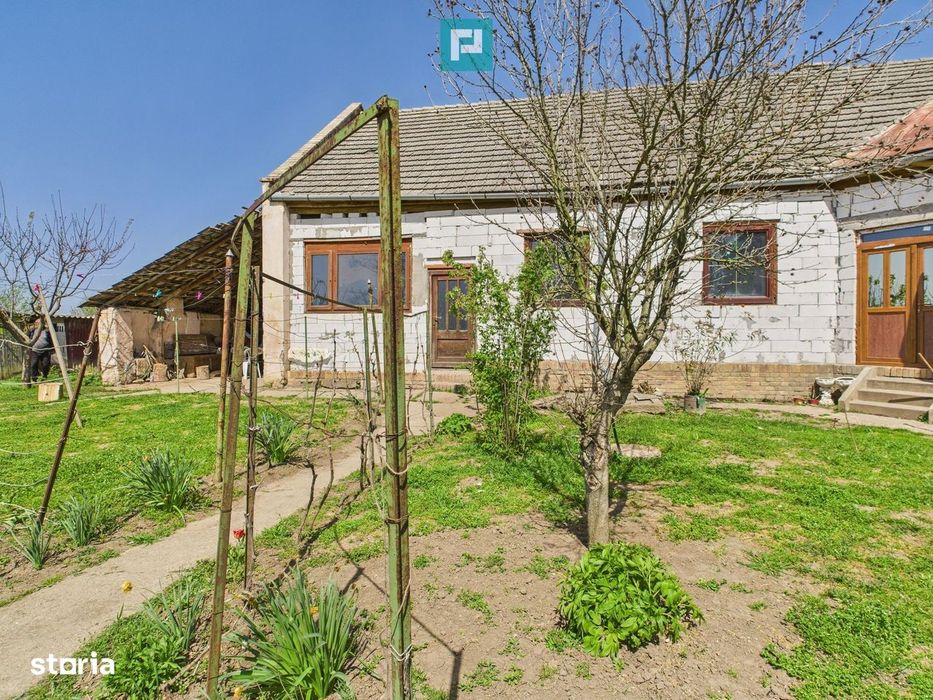 Casă cu Grădină Mare la 30 km de Timișoara