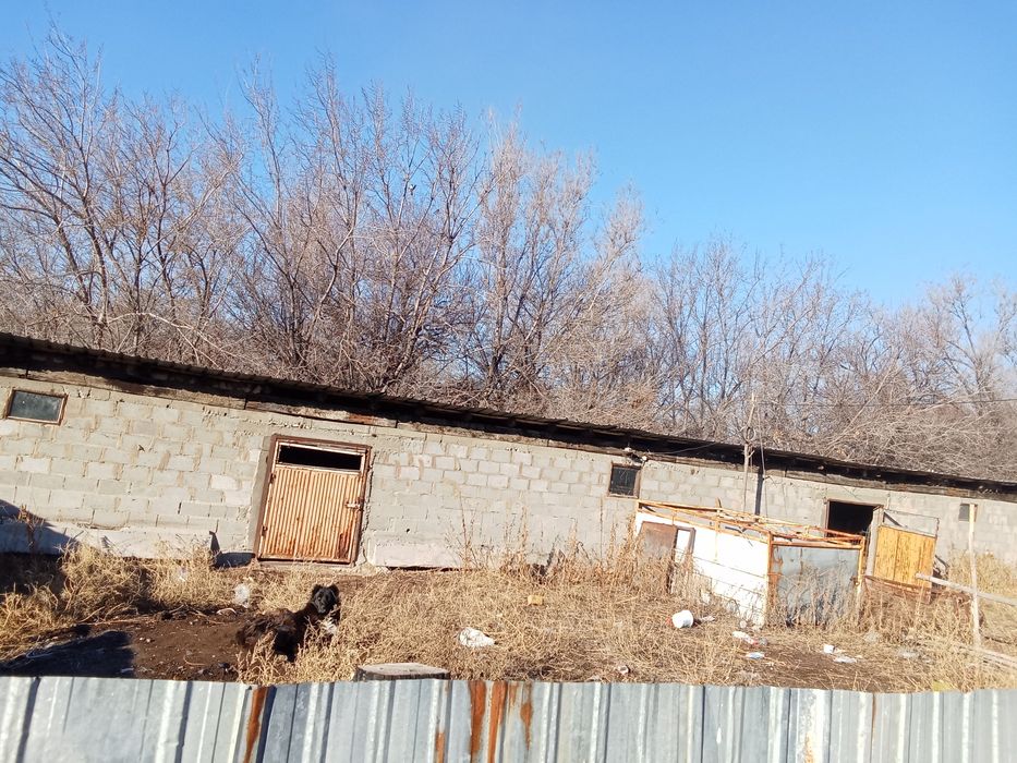 Баз откорм аренда