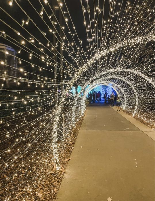 Fasad chiroqlari  bayram uchun asvishenya xizmati