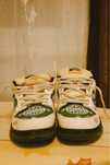 Nike sb  stussy