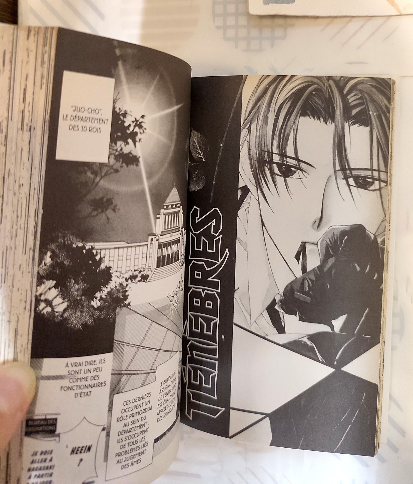 Manga oldschool 1996 in franceza Descendants des tenebres  vol 1 si 2