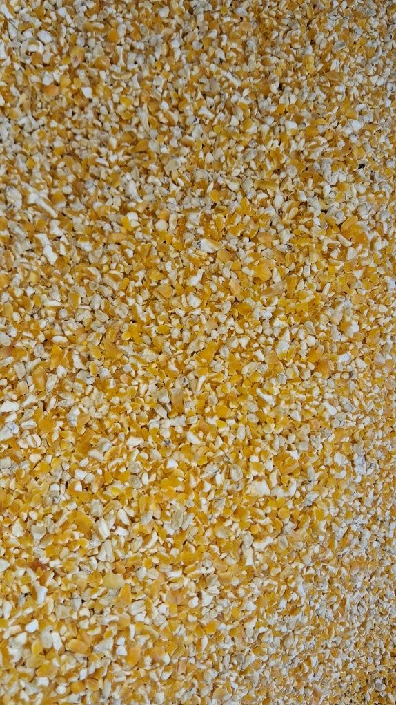 Кукурузная сечка
