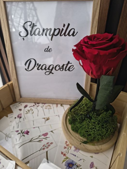 Tatuaje temporare pentru nunți și evenimente - Ștampila de Dragoste