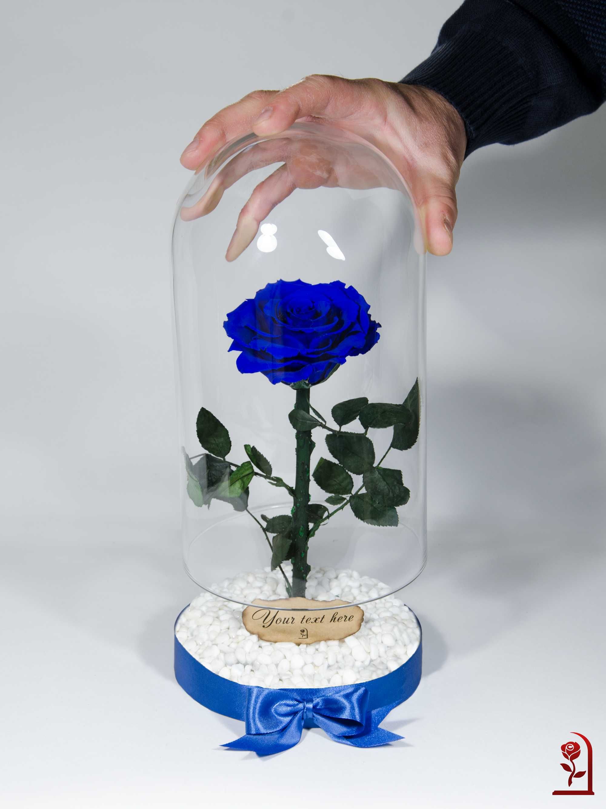 Естествена Синя Вечна Роза в Стъкленица /Подарък за Рожден Ден на Жена