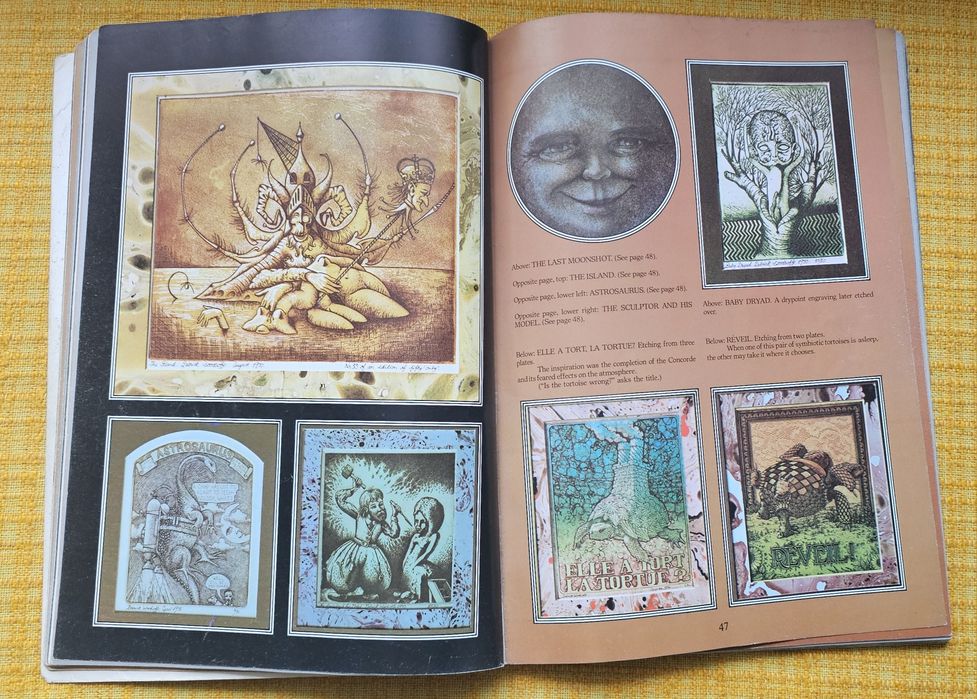 Vintage book Mytho Poeikon Paintings Illustrations Of Patrick Woodroff