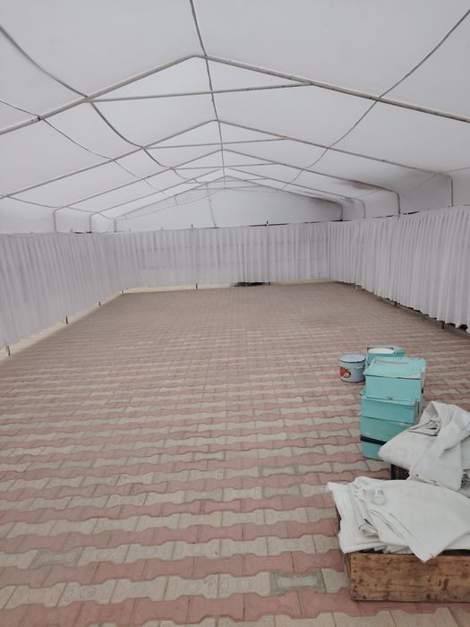 Темир уилер палатка лар