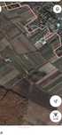 Teren arabil 4775 mp, Priseaca, Dambovita