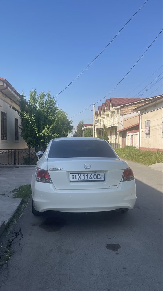 Honda accort 2008 yil 320 mng