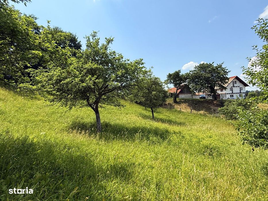 Teren intravilan 2330 mp, comuna Bran, sat Sohodol